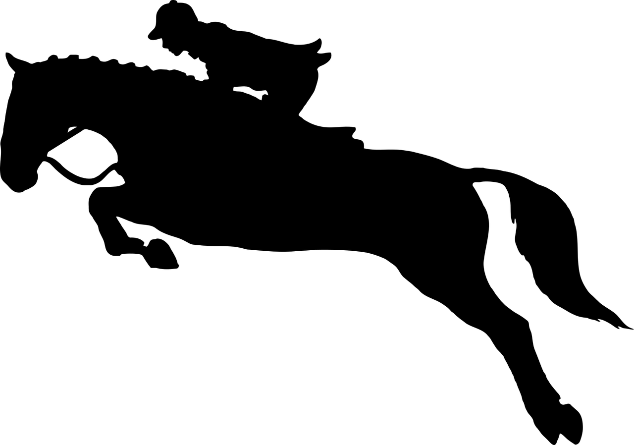 dressage, horse, jockey-1299862.jpg